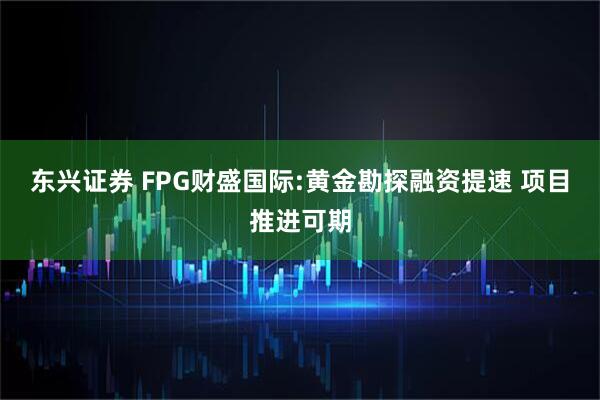 东兴证券 FPG财盛国际:黄金勘探融资提速 项目推进可期