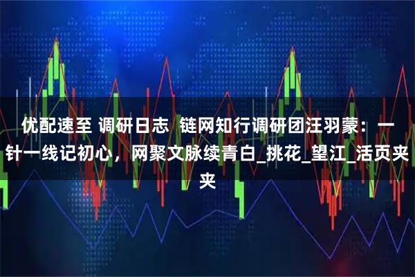 优配速至 调研日志 链网知行调研团汪羽蒙:一针一线记初心,网聚文脉续青白_挑花_望江_活页夹