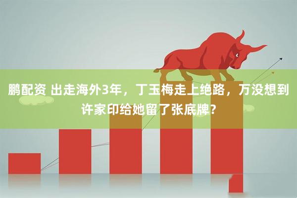 鹏配资 出走海外3年，丁玉梅走上绝路，万没想到许家印给她留了张底牌？